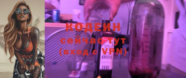 индика Липки