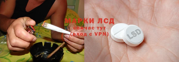 индика Липки