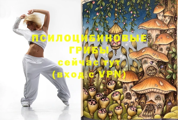 ешки Протвино