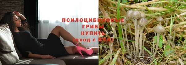 ECSTASY Пролетарск