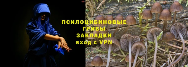 спайс Приозерск
