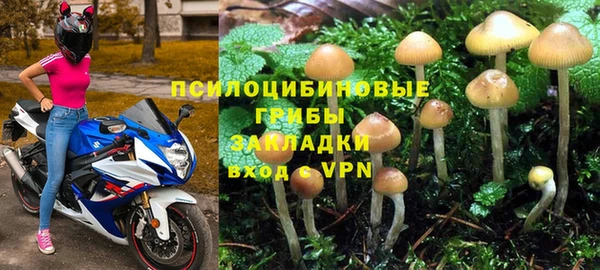 ECSTASY Пролетарск