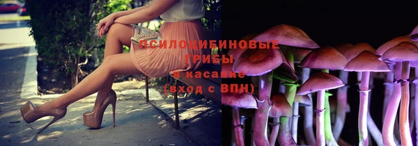 индика Липки